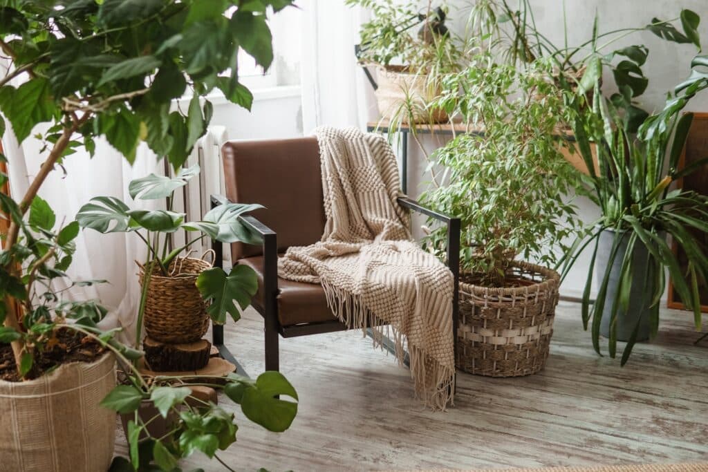 Wohnzimmer mit Pflanzen und gemütlichem Sessel | Mooswände